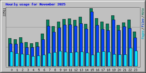 Hourly usage for November 2025