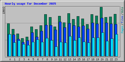 Hourly usage for December 2025