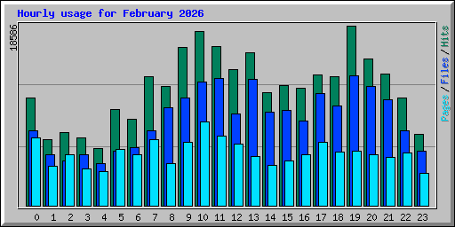 Hourly usage for February 2026